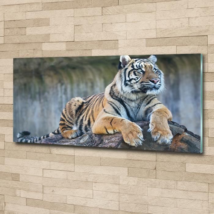 Impression sur verre de Tulup 125x50 cm Image Tableau Photo décorative panoramique pour la cuisine et le salon - Animaux - Tigre -