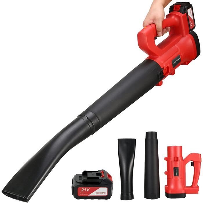 Souffleur à Feuilles Sans Fil 2 Batteries 21V - Vitesse Max 52 M/s, Portable, Pour Pelouse, Terrasse, Voiture
