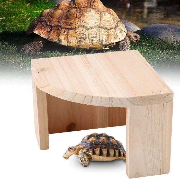 Terrarium Tortue Terrestre Fait Maison Ventana Blog