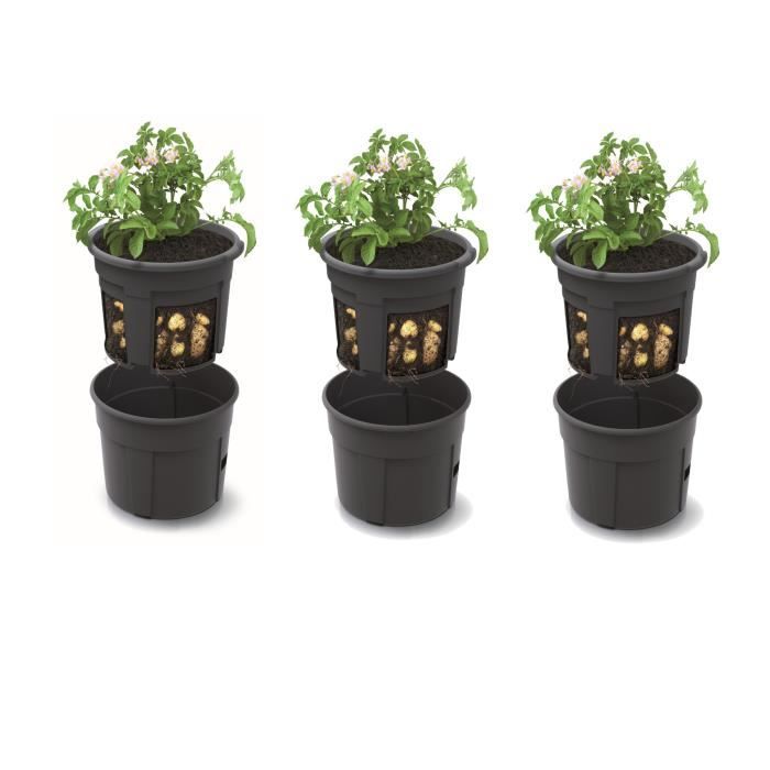 EOPUOZS Lot de 3 Boite Pomme de Terre, Rangement Oignons Ail Pomme de Terre, Bocaux Rangement Cuisine au Design Rétro avec Couvercle en Bambou et Trous de Ventilation (noir EOPUOZS Lot de 3 Boite Pomme de Terre, Rangement Oignons Ail Pomme de Terre, Bocaux Rangement Cuisine au Design Rétro avec Couvercle en Bambou et Trous de Ventilation (noir
