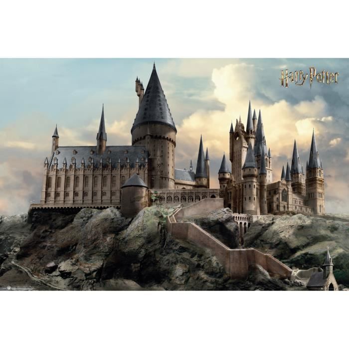 Affiche Maxi Harry Potter Jour De Poudlard 61x91 5cm Cdiscount