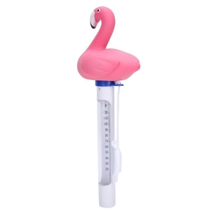 PORTRAIT THERMOMÈTRE FLOTTANT pour Piscine avec Compteur de Température PORTRAIT THERMOMÈTRE FLOTTANT pour Piscine avec Compteur de Température