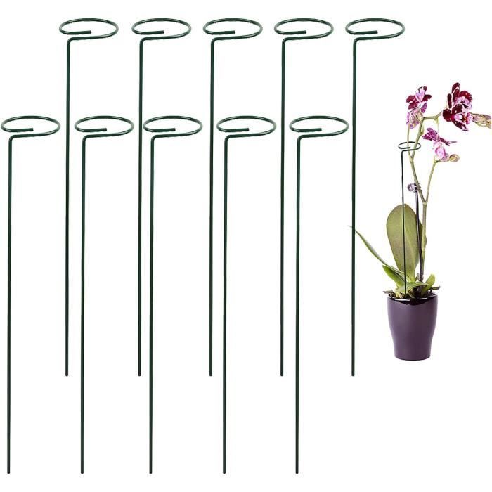 Acheter ICI Un Lot De 2 Tuteurs Jardin