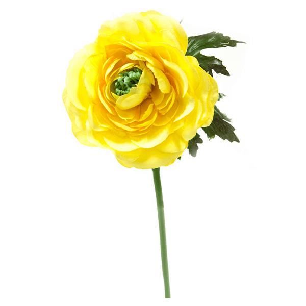 Fleur: Renoncule jaune 30cm (x1) REF/FTG3002 - Cdiscount Maison