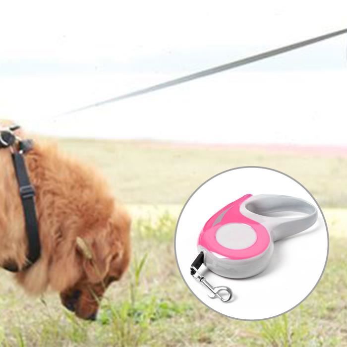 Meilleurs prix pour Laisse pour Chien - VGEBY - Enrouleur - Nylon - Rose - 3M