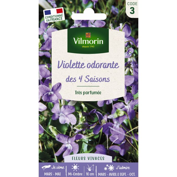 Comparer les prix de Graine de Violette des 4 saisons odorante - VILMORIN - Plante fleurie - Massif - Fleurit chaque année