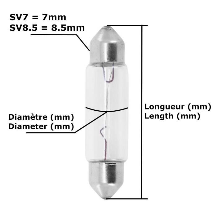Ampoules C5W LIGHTWORLD24 - Lot De 10 - 12V 5W - Pour Plaque Immatriculation, Coffre