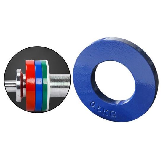 Acier Poids Fractionnaire, Olympique 2 ''Standard Barbell Puissance de  Levage Micro Poids Plaques Surcharge Progressive Bleu 0,5 kg - Cdiscount  Sport