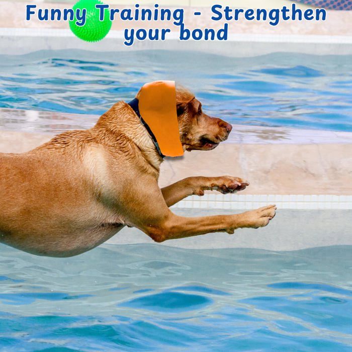Cache-oreilles De Natation Pour Chien - Imperméable, Réglable - Protège De L'eau Et Du Bruit - Tailles S/M/L