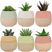 Mini Cache Pot en Céramique - Lot de 6 - L6 x H55 cm - Pot Cactus et Fleur avec Trous de Drainage
