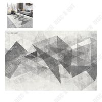 TD® Nordique simple épaissi imitation cachemire tapis tapis de sol salon canapé couverture maison chambre tapis antidérapant