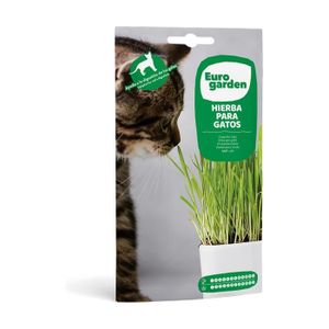 Gamelle avec graine herbe à chat