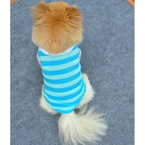 Manteau Blouson,Vêtements de maison pour petit chien T shirts de Sport pour chiot, maillot de football à rayures - Type blue-L