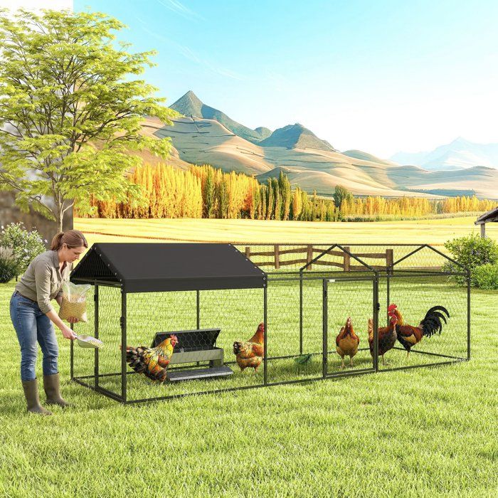 Meilleurs prix pour Enclos Poulailler Extérieur Couverture Imperméable 2 Portes Latérales pour 3-5 Poules 3x1x1m Acier Noir