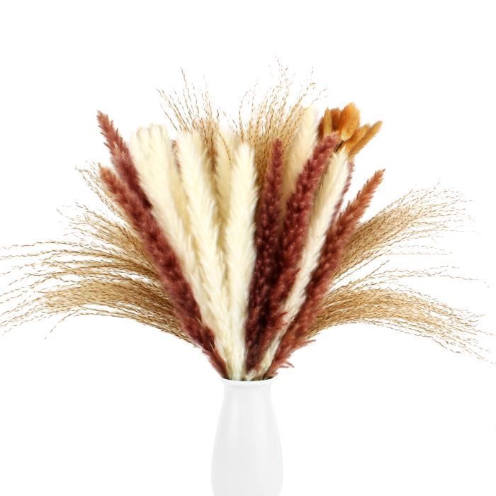 Viana Herbe De La Pampa Séchée Rose 65-75 Cm – Lot De 6 Plumes Naturelles Pour Décoration Bohème Chic
