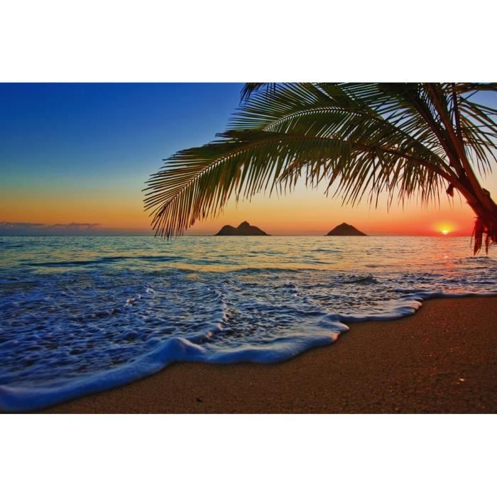 103i 366x254cm-plage mer palmiers Caraïbes-avec vraiment la colle Papier peint-terrasse