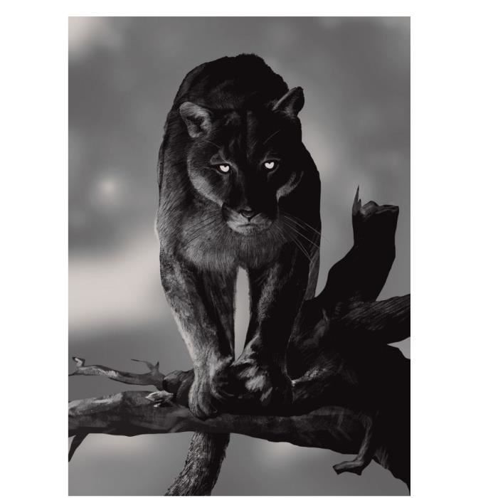 Panthère Noire Art Animalier Peinture Sur Toile Photos Murales Pour Salon Chambre Mur Art Affiches Imprime Maison Décoration Murale 35x50 Cm Sans Cadre