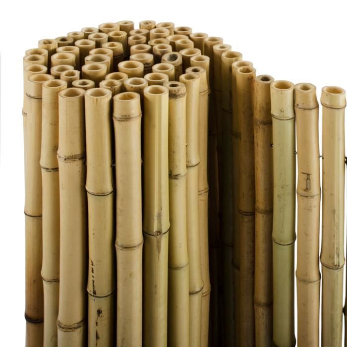 Brise Vue Bambou - 100cm (H) x 250cm (L) - Canisse 100% Bambou Naturel