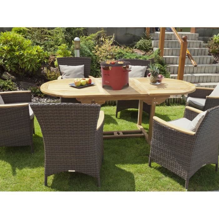 Plancha De Table Au Bioethanol Bb03 Une Nouvelle Facon De Vous Preparer Un Repas Achat Vente Plancha De Table Cdiscount