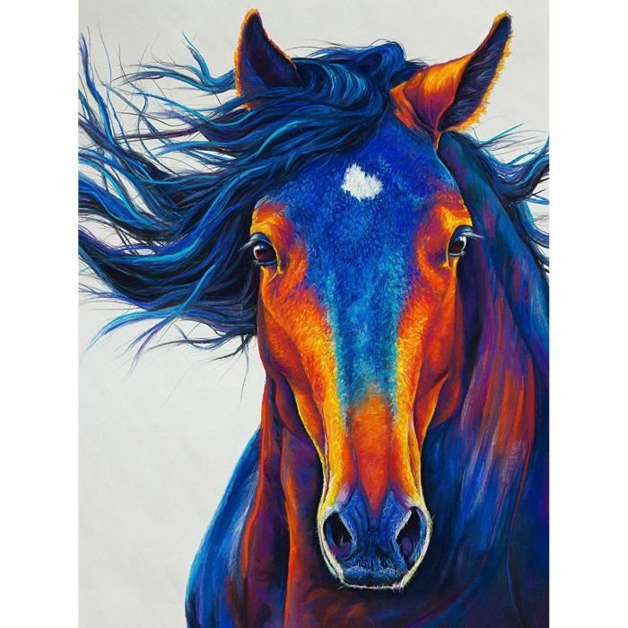 Bimkole 5D DIY Grand Diamond Painting Kits Cheval, Graminées