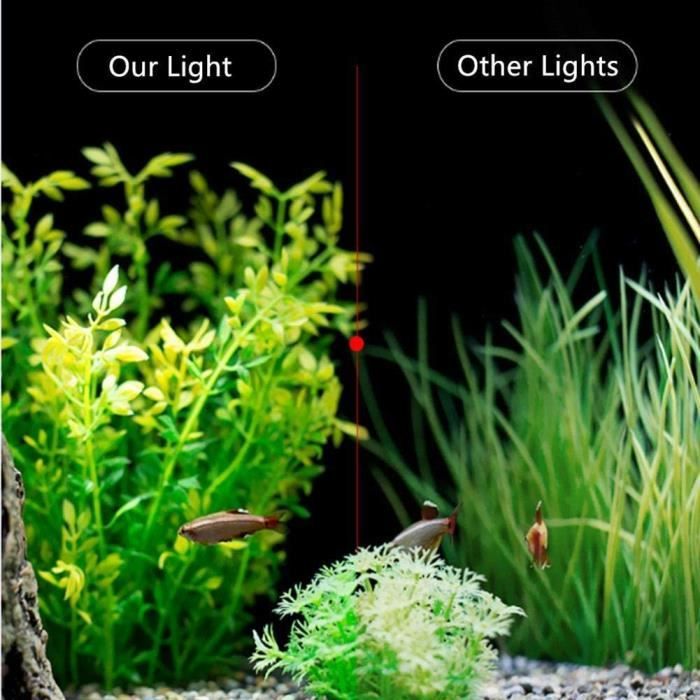 Lampe Aquarium LED Pour Plante & Poisson Rampe D'Éclairage 60 cm 18 W Mode  Nuit