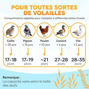 Couveuse Automatique 10 œufs - Contrôle Température/humidité, Retournement Auto, Mireuse LED