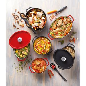 Cocotte Fontignac - Voir Aussi Les Articles Sans Stock