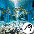 2 Pcs Aquarium Tube En Caoutchouc Rideau D'air Bulle Diffuseur Fish Tank À Bulles   AQUARIUM-0