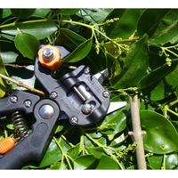 Machines De Greffage De Jardin Ciseaux D'élagage Ciseaux Pruners Outil De Coupe D'arbres