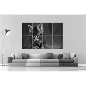 Poster Chat Cdiscount