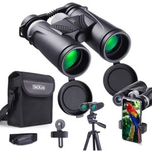 Jumelles compactes Haute Puissance 10X25 Mini Jumelles légères imperméables pour Adultes pour lobservation des Oiseaux Voyage Randonnée en Plein air Camping Chasse Concert Opéra Sport Jumelles compactes Haute Puissance 10X25 Mini Jumelles légères imperméables pour Adultes pour lobservation des Oiseaux Voyage Randonnée en Plein air Camping Chasse Concert Opéra Sport