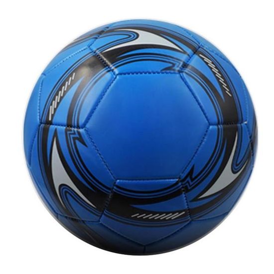 Cage De Football SONGMICS Avec Toile Cible - Filet PE, Montage Rapide, Pour Jardin, Cour & Plage (215x76x150 Cm)