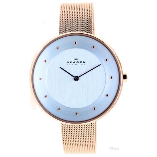 Skagen skw2142 discount