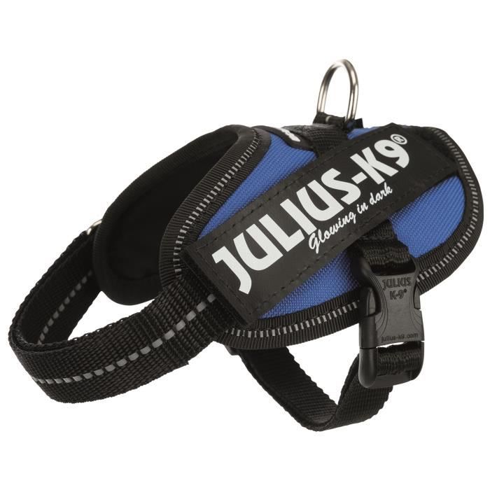 JULIUS K9 Harnais Power IDC Baby 2–XS–S : 33–45 cm - 18 mm - Bleu - Pour chien