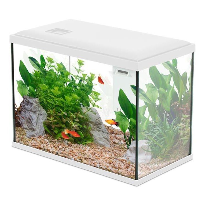 Comparer les prix de Aquarium Poisson Initio 40cm Blanc - Zolux