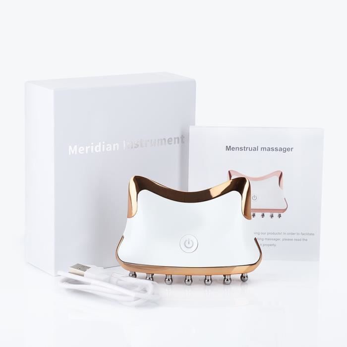 Detoxification Instrument White - Instrument électrique pour méridiens, détoxification ...