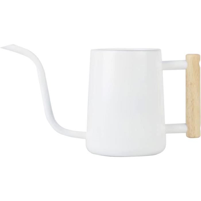 Arrosoir Long Bec En Inox 250 Ml – Précis, Sans Déversement, Pour Plantes D’intérieur, Succulentes Et Petits Légumes