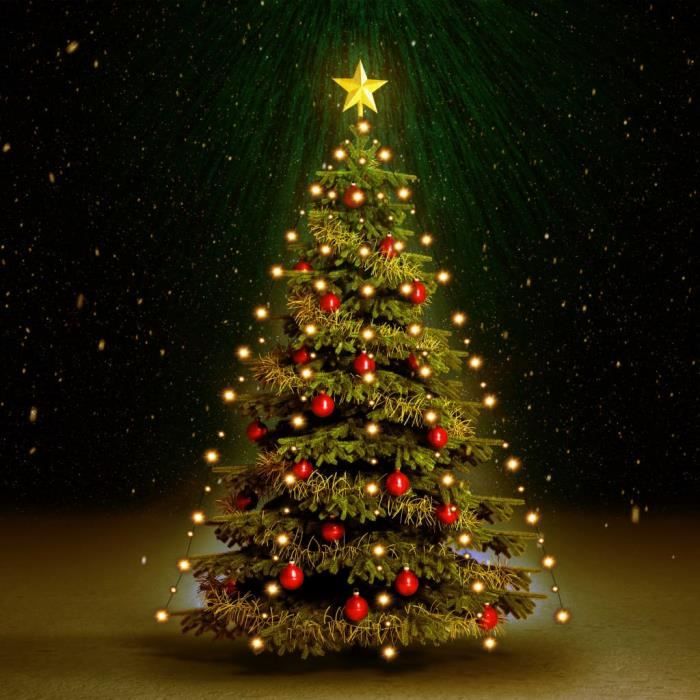 Guirlande Lumineuse Noël Étoile 315 Leds Arbre Noël Lumineux 8 Modes IP44  pour Éxterieur Intérieur Mariage Soirée Sapin de Noël - Cdiscount Maison