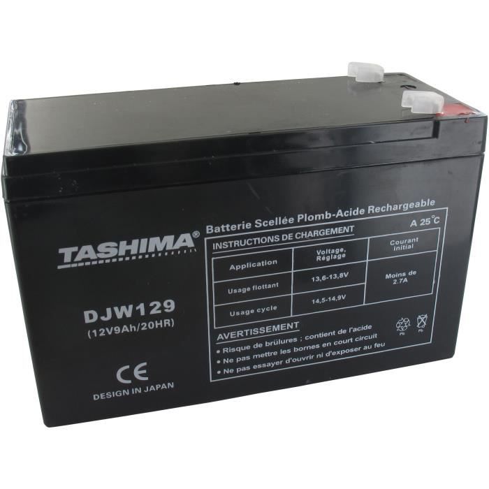 Batterie TASHIMA gel/agm 12V, 9 A adaptable pour CASTELGARDEN, FLYMO, ROVER STIGA et WOLF - L: 152, l: 65, H:95mm, 100% étanche