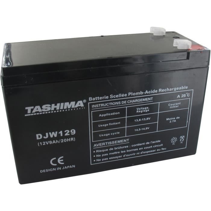 Batterie TASHIMA gel/agm 12V, 9 A adaptable pour CASTELGARDEN, FLYMO, ROVER STIGA et WOLF - L: 152, 