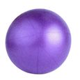 Mini Ballon de Gymnastique 25 cm Balle de Exercice pour Fitness Gym Yoga Pilâtes - Stabilité Anti-Explosion Convient N-0