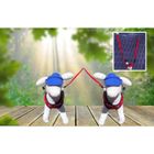 DOOGY laisse pour chien Accouple nylon Gamme Essentiel taille 3