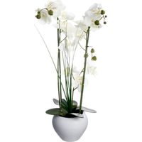Orchidée Artificielle avec Vase en Céramique H53cm - SILUMEN - Blanc - Intérieur