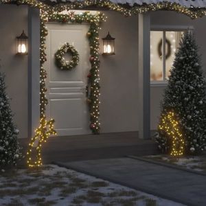 VOILE D'OMBRAGE vidaXL Décoration lumineuse météore de Noël avec piquets 80 LED 62 cm 357731
