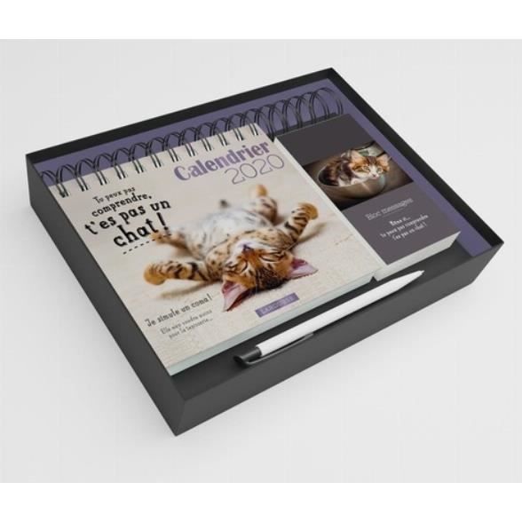 Calendrier Tu Peux Pas Comprendre T Es Pas Un Chat Avec 1 Stylo Et Un Bloc Messages Edition 2020 Achat Vente Calendrier Ephemeride Calendrier Tu Peux Pas Compren Cdiscount