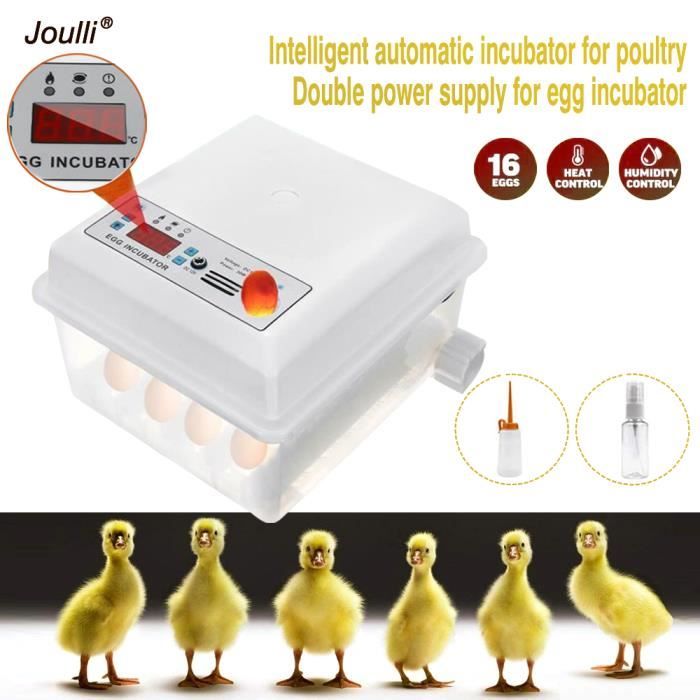JOULLI Incubateur Oeufs Couveuse à Oeuf Automatique pour volaille , caille , oie Canard , Pigeon , Reptile - 16 oeufs