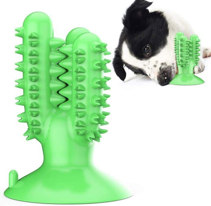 Meilleurs prix pour Jouet pour chien, brosse à dents, bâton, brosse à dents pour chien avec ventouse, brosse à dents pour chien, stylo molaire pour chi