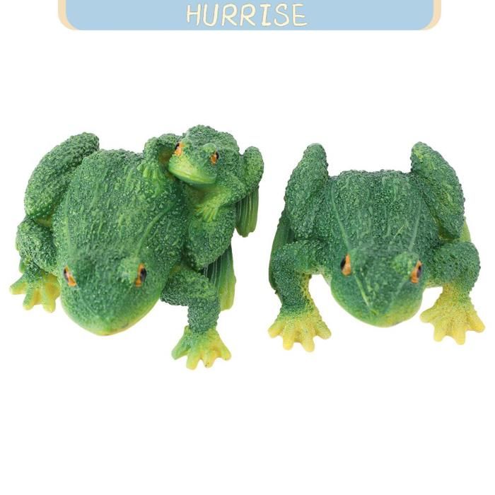 Dissect-it Mega Pack Grenouille - La Grande Récré