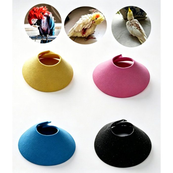 Collerette anti-morsure pour oiseaux lot de 4 réglable protection du cou pour perroquet et inséparables