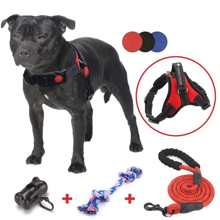 HARNAIS POUR CHIEN - HarnyDOG™ – Kryspet's